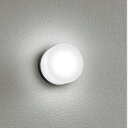 yamada エクステリア LEDブラケットライト 業務用バスルームライト 防雨・防湿型 白熱60W相当 電球色 LEDランプ付き 公衆浴場向け浴室灯 直付 A...