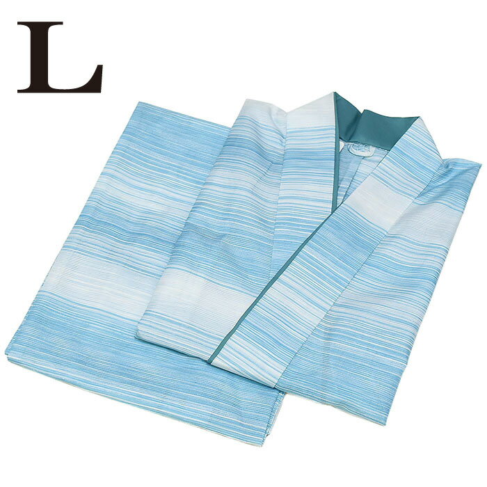 12800【 夏物 】 紗【 二部式着物 】 洗える着物 【 Lサイズ 】 夏用 制服 小紋 普段着 夏 夏着物 夏き..