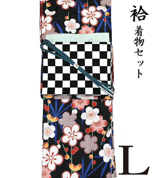 【晩秋冬春♪着物4点セット】【L 袷せ】【hiromichi nakano】洗える氷割地紋着物+【木綿】洗える九寸名古屋帯+正絹帯揚げ+正絹帯〆【4点セット】小紋 ナカノ 地紋 粋 レトロ コーデ モダン ポップ as-1313 appk996 ongy24のサムネイル