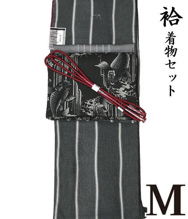 ★粋★【晩秋冬春♪着物4点セット 『極』】鯉【M 袷】【日本生地】洗える京染め着物+【木綿】洗える九寸名古屋帯+正絹帯揚げ+正絹帯〆【4点セット】小紋 地紋 粋 レトロ コーデ モダン シック as-1408 appk1108 ongy203のサムネイル