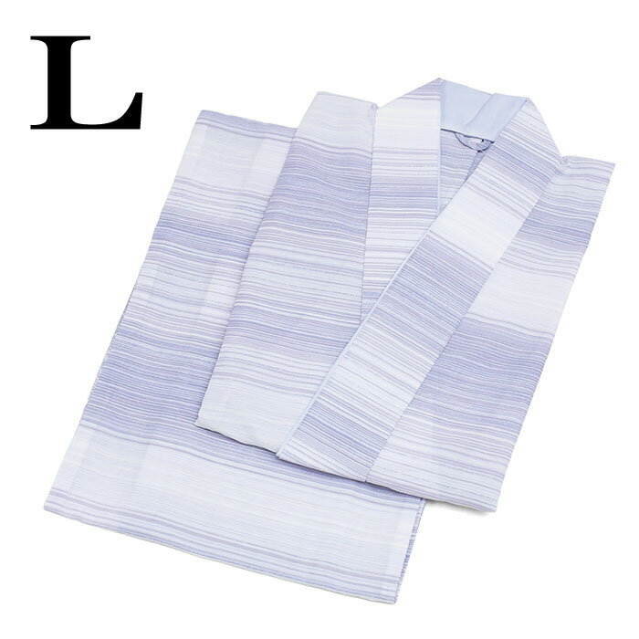 【10】12800【 夏物 】 紗 【 二部式着物 】 洗える着物 【 Lサイズ 】 夏用 制服 小紋 普段着 夏 夏着..