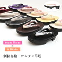 【10】 送料無料 8800 選べる ★刺繍 5柄 × 台 10色★ ウレタン 草履 高台 ヒール 【 刺繍 鼻緒 】 履きやすい カジュアル Fサイズ フリーサイズ 履物 小紋 紬 カジュアル 普段着 卒業式 雨上がりでも大丈夫! 街着 柔らかい鼻緒 レディース zur535 zur-ss02