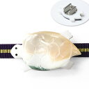 5300 カメ 【 夜光貝 】 帯留め 単品 亀 帯留 三分紐 着物 普段着 訪問着 附下げ 小紋 浴衣 和装小物 蝙蝠 帯留 帯どめ 貝 海 螺鈿 ラデン タ...