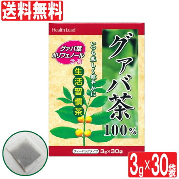 【8/30限定P最大10倍】グァバ茶 100% ティーバッグ 3g×30袋 健康茶 グァバ葉 ポリフェノール グアバ グアバ茶 Health Lead 新日本漢方 送料無料【賞味期限2021年10月2日まで】