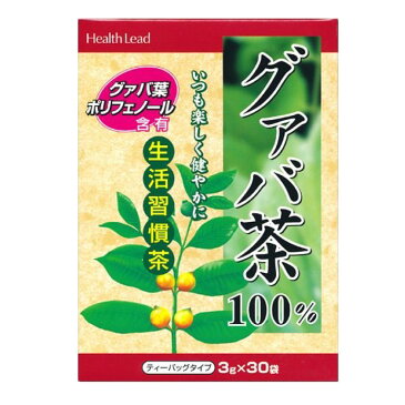 【8/30限定P最大10倍】グァバ茶 100% ティーバッグ 3g×30袋 健康茶 グァバ葉 ポリフェノール グアバ グアバ茶 Health Lead 新日本漢方 送料無料【賞味期限2021年10月2日まで】