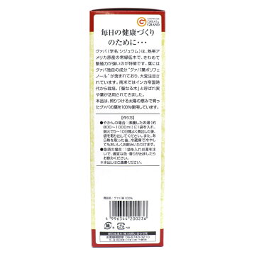 【8/30限定P最大10倍】グァバ茶 100% ティーバッグ 3g×30袋 健康茶 グァバ葉 ポリフェノール グアバ グアバ茶 Health Lead 新日本漢方 送料無料【賞味期限2021年10月2日まで】