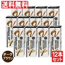 【P最大9倍★お買い物マラソン】増毛スプレー ボリュームアップスプレー 200g×12本セット ダークブラウン 瞬間増毛 薄毛 抜毛 対策 ボリュームアップヘア...