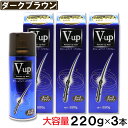 【P最大8倍★お買い物マラソン】増毛スプレー ダークブラウン 大容量 220g ×3本 ボリュームアップ ヘアスプレー ピノーレ V-up