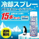 【P最大9倍★GW直前】コールドスプレー 500ml×15本セット 冷却スプレー 冷却 グッズ 熱中症対策グッズ ひんやり スプレー 瞬間冷却スプレー 大型 冷感 クール 運動会 暑さ対策　スポーツ 建設業 野外フェス