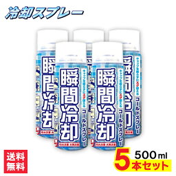 フィールドアンドデバイス 冷感スプレー 【P最大7倍★5/1限定】コールドスプレー 500ml×5本セット 冷却スプレー 冷却 グッズ 熱中症対策グッズ ひんやり スプレー 瞬間冷却スプレー 大型 冷感 クール 運動会 暑さ対策　スポーツ 建設業 野外フェス