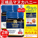 【P最大9倍＆先着順クーポン★スーパーSALE】マヌカヘルス マヌカハニー MGO573+（250g×2個） 正規品 ニュージーランド産 蜂蜜 はちみつ 送料無料