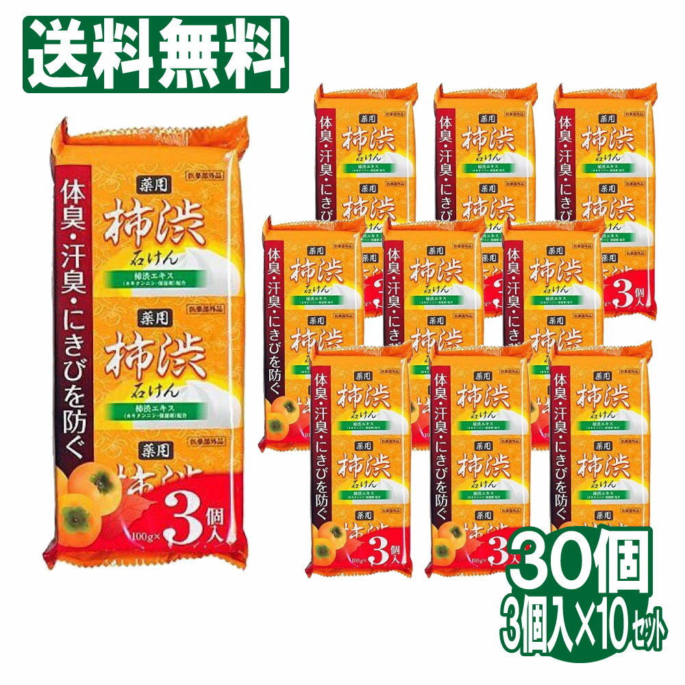 【P最大7倍★6/1限定】 柿渋石鹸 100g 