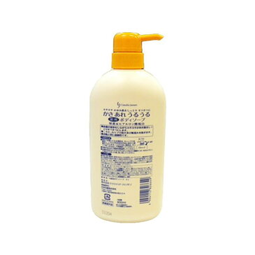 【8/30限定P最大10倍】ボディソープ かさあれうるうる 薬用ボディソープ 弱酸性 600ml 本体 大容量 業務用 尿素&ヒアルロン酸 配合 医薬部外品 送料無料