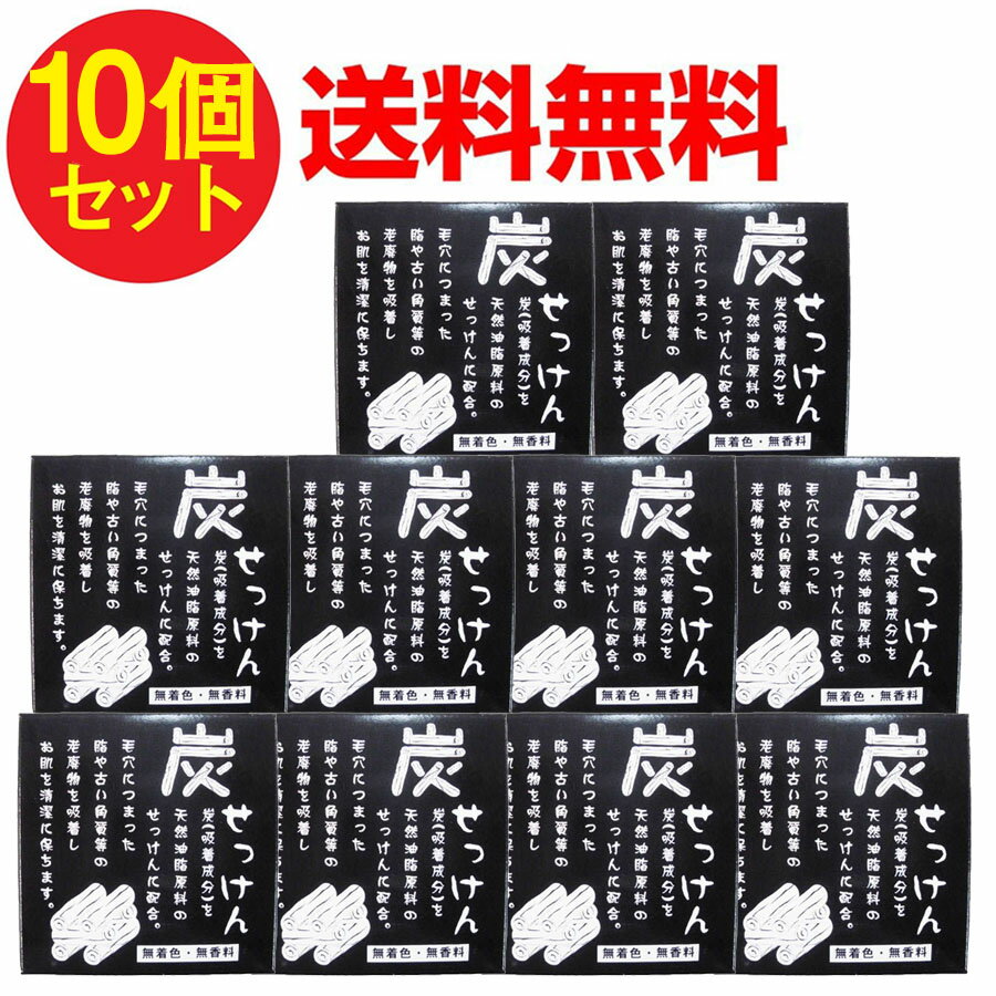 炭せっけん 1000g(100g×10個セット) 炭 石鹸 地の塩社 送料無料