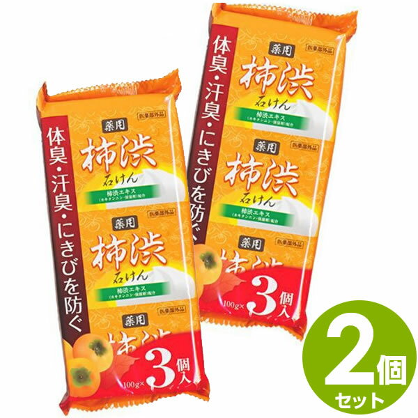 柿渋石鹸 6個 (薬用 柿渋石けん 3個入×2セット)「メール便で送料無料」 1000円ポッキリ 送料無料