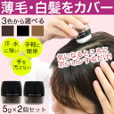 【P最大8倍★お買い物マラソン】白髪隠し 白髪かくし パウダー シャンデルぽんぽんヘアパウダーP 2個 選べる3種類のカラー