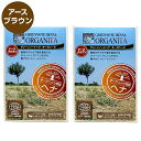 【P最大9倍★お買い物マラソン】グリーンノート ヘナ オーガニータ アースブラウン(100g) 2個セット メール便で送料無料