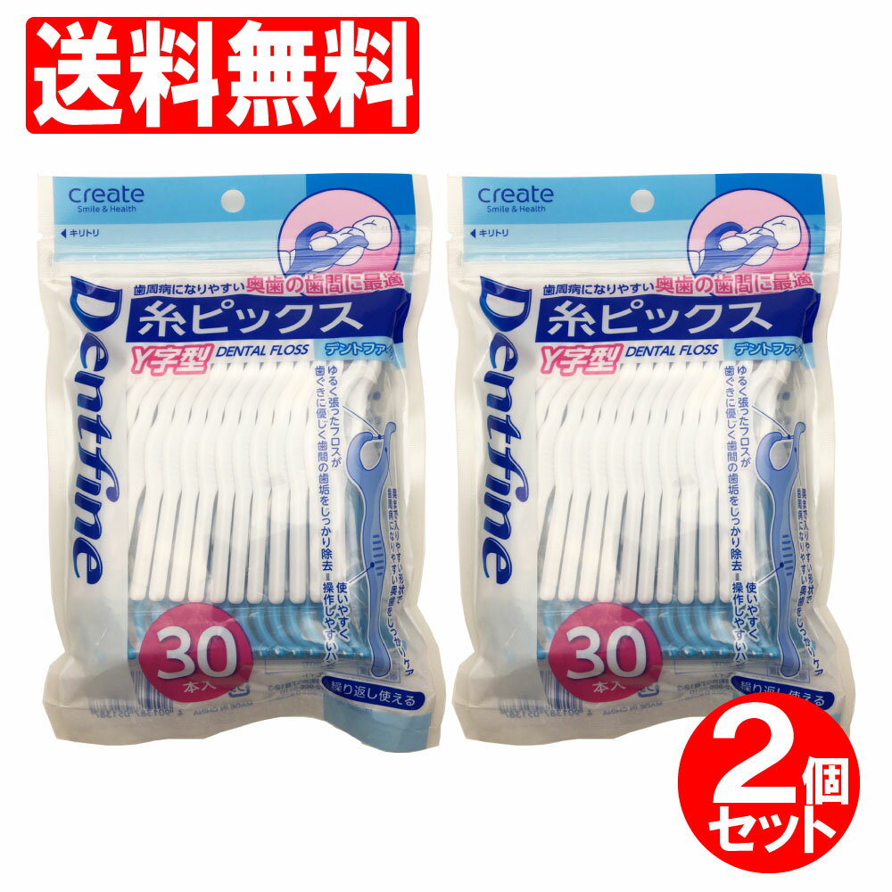 デンタルフロス Y字型 60本セット（30本入×2個）糸ピックス 歯間ブラシ 歯間清掃 大容量 デンタル 送料無料