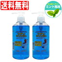 【P最大8倍★3/30限定】うがい液 イーレス うがい薬 300mL×2個セット ミント味 指定医薬部外品 日本製 送料無料