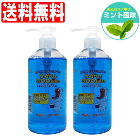 【P最大8倍★お買い物マラソン】うがい液 イーレス うがい薬 300mL×2個セット ミント味 指定医薬部外品 日本製 送料無料