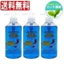 【P最大9倍★お買い物マラソン】うがい液 イーレス うがい薬 300mL×3個セット ミント味 指定医薬部外品 日本製 送料無料