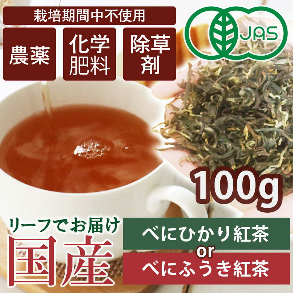 紅茶 茶葉 和紅茶 無農薬紅茶 100g ア