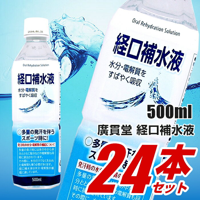 日本薬剤　経口補水液 500ml×24本