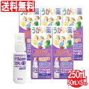 【第3類医薬品】うがい薬(医薬品) パープルショット うがい薬F 50mL×5個セット 合計250mL 計量カップ付 ワンプッシュ 口の中のハレ 洗浄 のどのハレ 送料無料