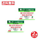 【第3類医薬品】胃薬 胃腸薬 全国胃散 分包タイプ 16包入り×2個セット
