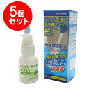 【P最大12倍★8/1限定】【第2類医薬品】グローアルファ点鼻薬クール 30mL 5個セット アレルギー性鼻炎 鼻づまり 花粉 鼻スプレー くしゃみ・鼻水鼻づま...