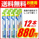 歯ブラシ ふつう 12本セット お徳パック ストレートカット...