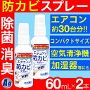 【P最大8倍★5/5限定】エアコン 掃除 スプレー エアコン用防カビスプレーAg 60mL×2個セッ ...