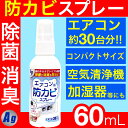 【P最大8倍★5/5限定】エアコン 掃除 スプレー 防カビスプレー エアコン用防カビスプレーAg 6 ...