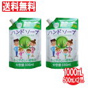 【P最大9倍★お買い物マラソン】ハンドソープ 薬用 ハンドソープ詰め替え用 2個セット 大容量 1000mL(500mL×2個)洗浄 殺菌 消毒 保湿 アロエエ...