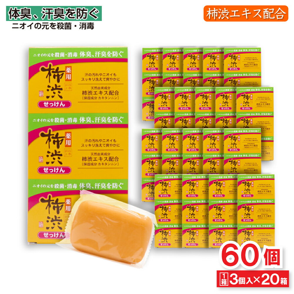 薬用 柿渋 石けん 100g 3個入り×20箱セット 合計60個 柿渋エキス ニオイのもとを 殺菌・消毒 かきしぶ 柿渋石鹸 柿渋石けん 薬用石鹸 保湿 医薬部外品