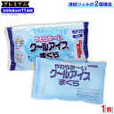 【P最大14倍★お買い物マラソン】アイス枕 やわらか~い クールアイスまくら プレミアム 長時間タイプ 2層式 1個 冷却ジェル 氷枕 柔らかい 保冷枕