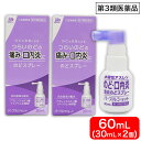 【P最大8倍★7/15限定】【第3類医薬品】パープルショット 30mL ×2個 のど・口内炎 消炎のどスプレー