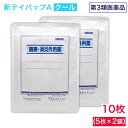 【P最大12倍★8/1限定】【第3類医薬品】冷感パップ剤 新テイパップA クール 10枚(5枚入 ×2袋) 腰痛 肩こり 筋肉痛 鎮痛・消炎外用薬