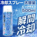 コールドスプレー 500mL 冷却スプレー 冷却 グッズ ひ...