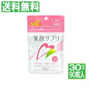 葉酸 鉄 カルシウム サプリ 90粒 30日分 葉酸500ug 鉄分15mg　カルシウム160mg　7種のビタミンB群、ビタミンA、C、D、E配合 サプリメント 妊娠中 妊活 葉酸サプリ メール便で送料無料