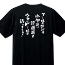 ドライTシャツ『ゴールの先には心地よい達成感とウマいビールが待っている！』【スポーツ マラソン ジョギング 速乾 吸湿 UVカット レディースサイズ プレゼント】DRT32