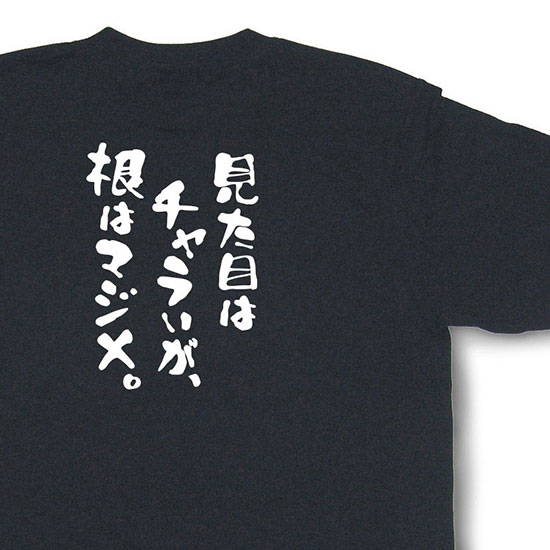 おもしろtシャツ『見た目はチャラいが、根はマジメ。』【文字tシャツ 日本語tシャツ 面白tシャツ プレゼント】MNW25