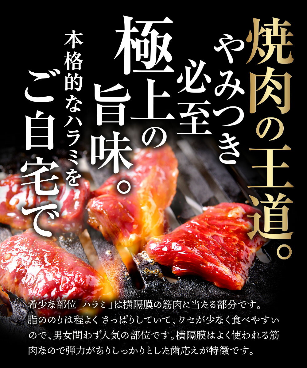 焼肉カットタレ漬けハラミ1000gLP1