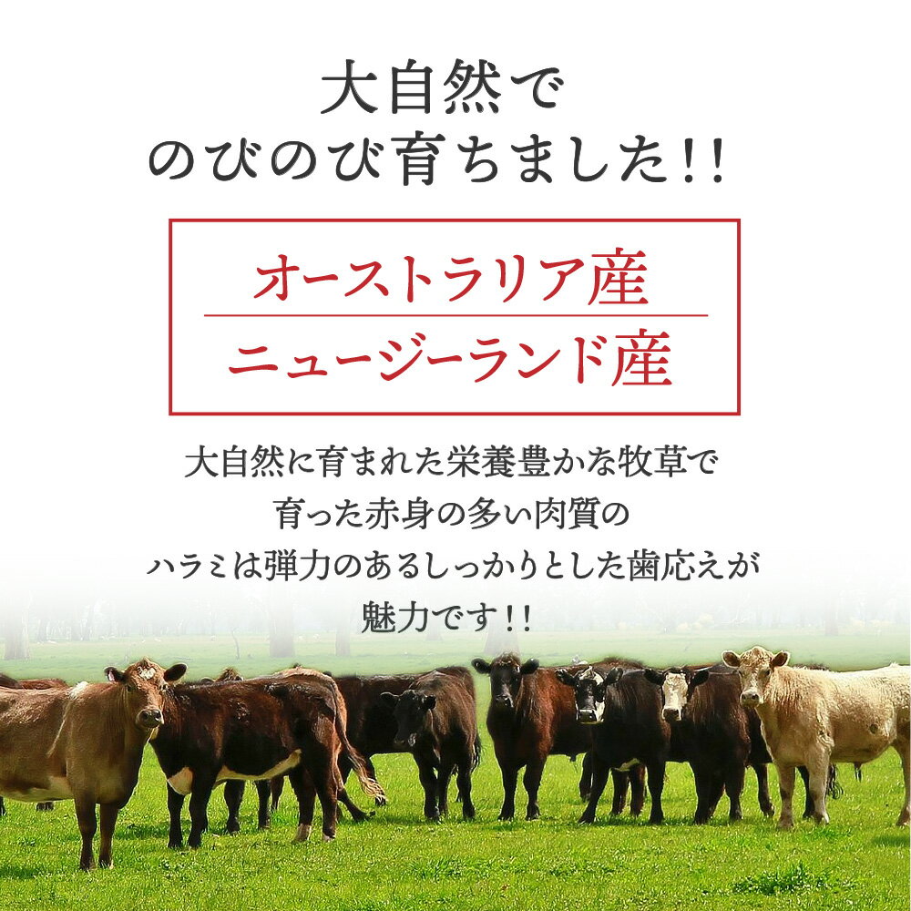 焼肉カットタレ漬けハラミ500g