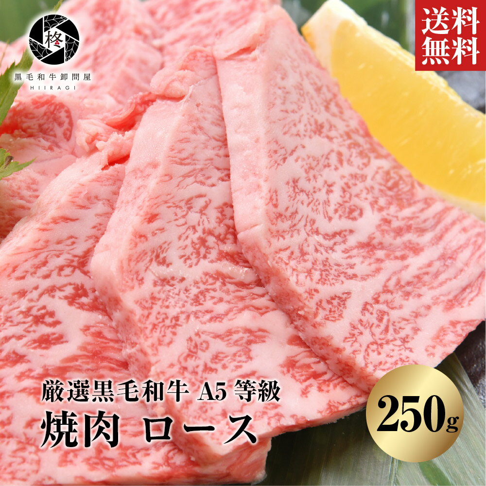 楽天黒毛和牛卸問屋　柊焼肉 焼肉セット 国産 黒毛和牛 A5等級 ロース 250g 牛肉 和牛 肉 お肉 牛ロース 高級肉 ギフト 焼き肉ギフト 赤身肉 あか身肉 冷凍焼肉 家で焼肉 おうち焼肉 焼肉用牛肉 焼き肉用肉 赤身焼肉 取り寄せ 牛 高級 ギフト 美味しい肉 A5ランク お取り寄せグルメ A5等級