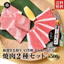 肉セット 牛肉 肉 焼肉 黒毛和牛 霜降り ロース 500gカルビ 500g 焼肉タレ セット お試し 送料無料 お取り寄せグルメ 贈り物 通販 冷凍食品