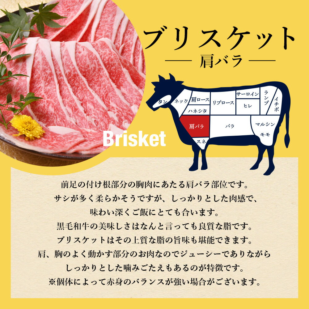 部位