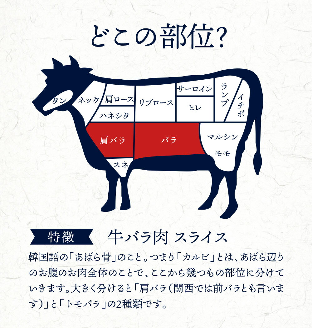 どこの部位
