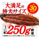 特大うなぎ 蒲焼き 5尾 (タレ 山椒 付) 大容量 送料無料 お取り寄せグルメ 贈り物 通販 冷凍食品 2