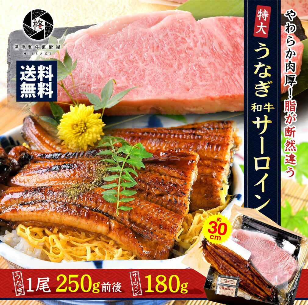 肉・セット うなぎ蒲焼き 特大うなぎ 1尾 と 黒毛和牛 サーロインステーキ 180g セット